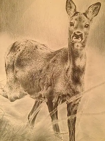 Luigi Prevedel Quadri